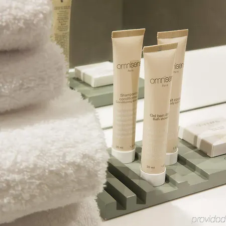 ホテル Diana Dauphine ストラスブール