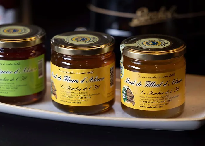 Diana Dauphine Estrasburgo