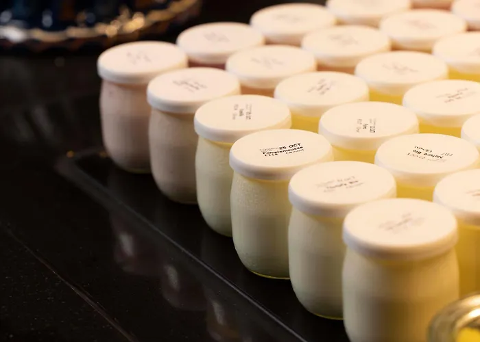 Diana Dauphine Estrasburgo