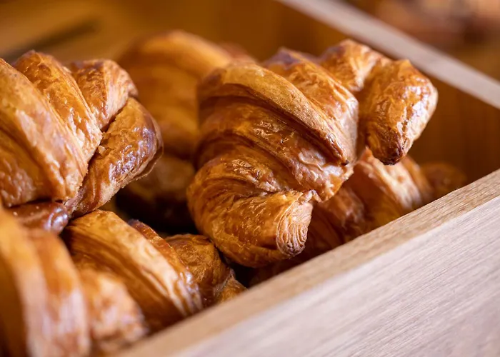 Diana Dauphine Szálloda Strasbourg