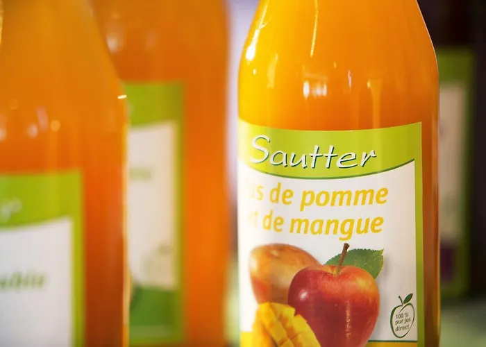 Diana Dauphine Hotell Strasbourg